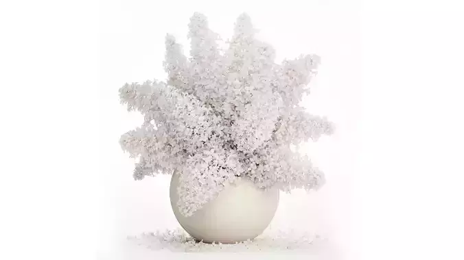 White flower bouquet of lilac branches in a vase 543