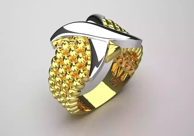 Luxury two-tone ring modern design model gr0039 3D print model