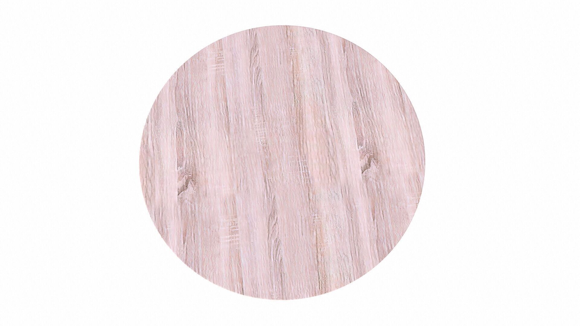 Round Table 3D model_5