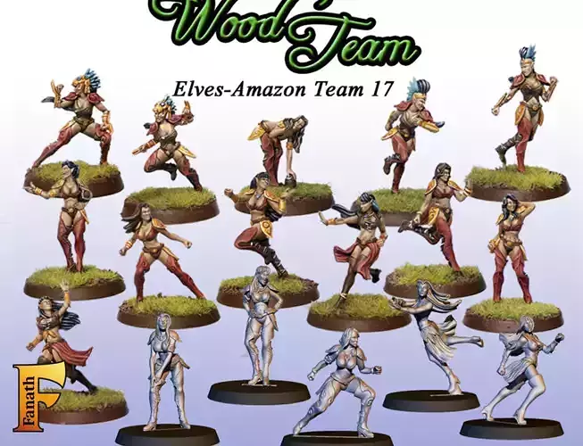 Wood elf - Amazon team
