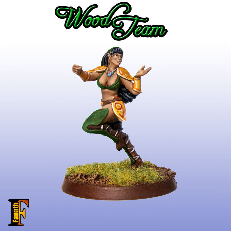 Wood elf - Amazon team 3D print model_17