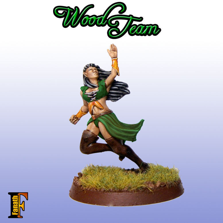 Wood elf - Amazon team 3D print model_8