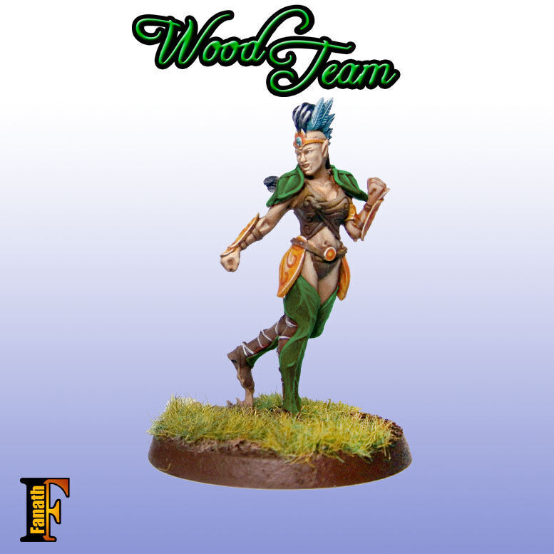 Wood elf - Amazon team 3D print model_12
