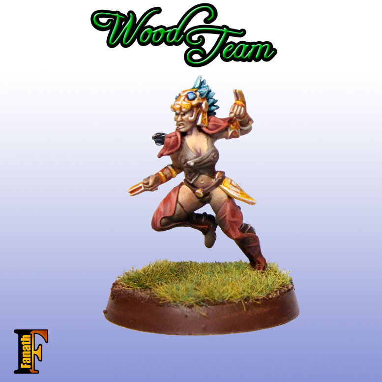 Wood elf - Amazon team 3D print model_10