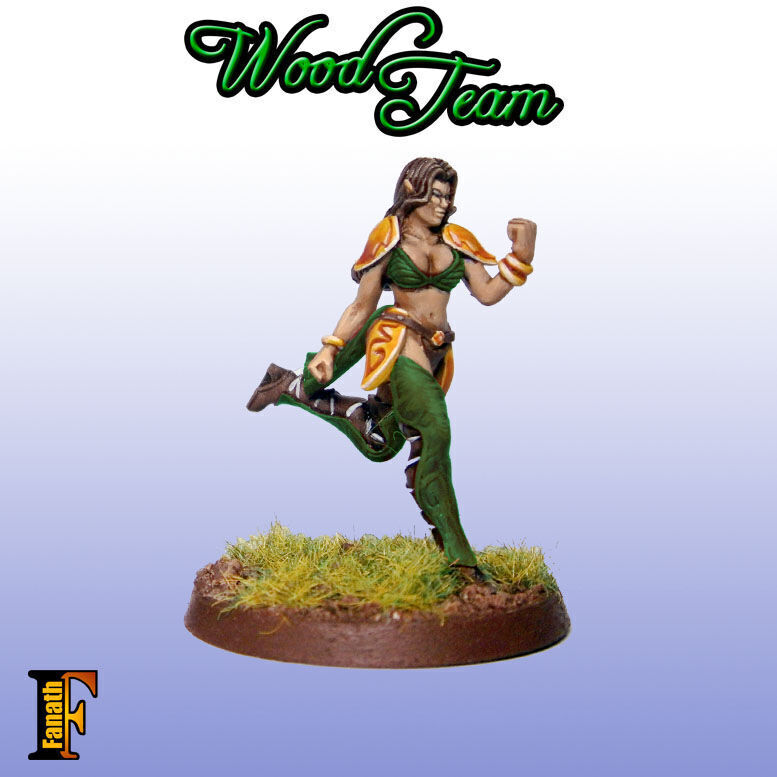 Wood elf - Amazon team 3D print model_5