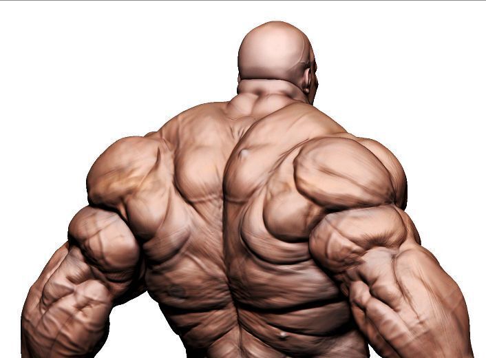 Male Tanker Basemesh  3D model_3