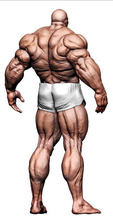 Male Tanker Basemesh  3D model_5