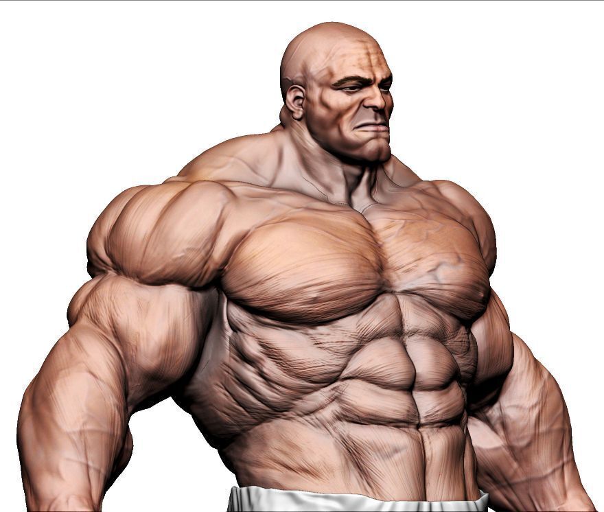 Male Tanker Basemesh  3D model_2