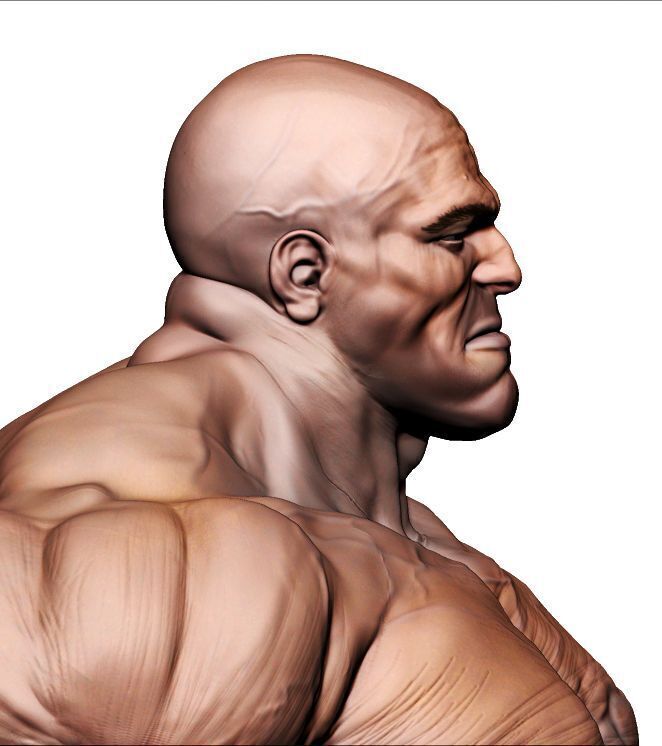 Male Tanker Basemesh  3D model_1