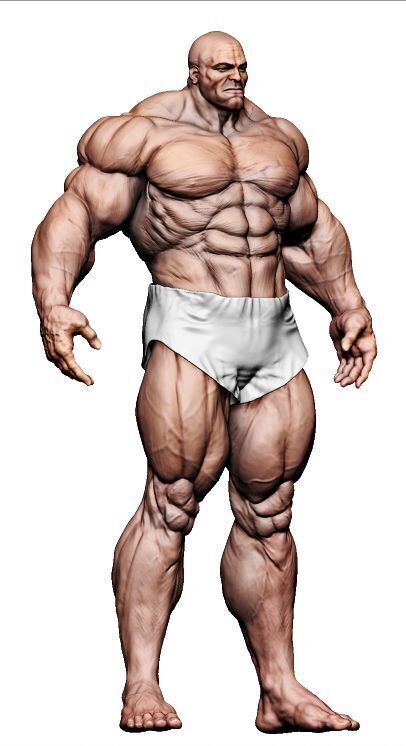 Male Tanker Basemesh  3D model_6