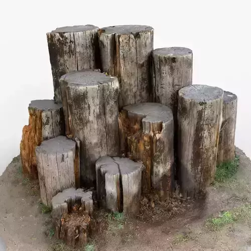 Tree Stump Cluster logs - Photogrammetry 3D Scan