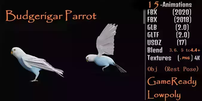 Budgerigar Parakeet Parrot Low-poly 3D model