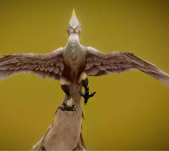 Feather Low-poly 3D model