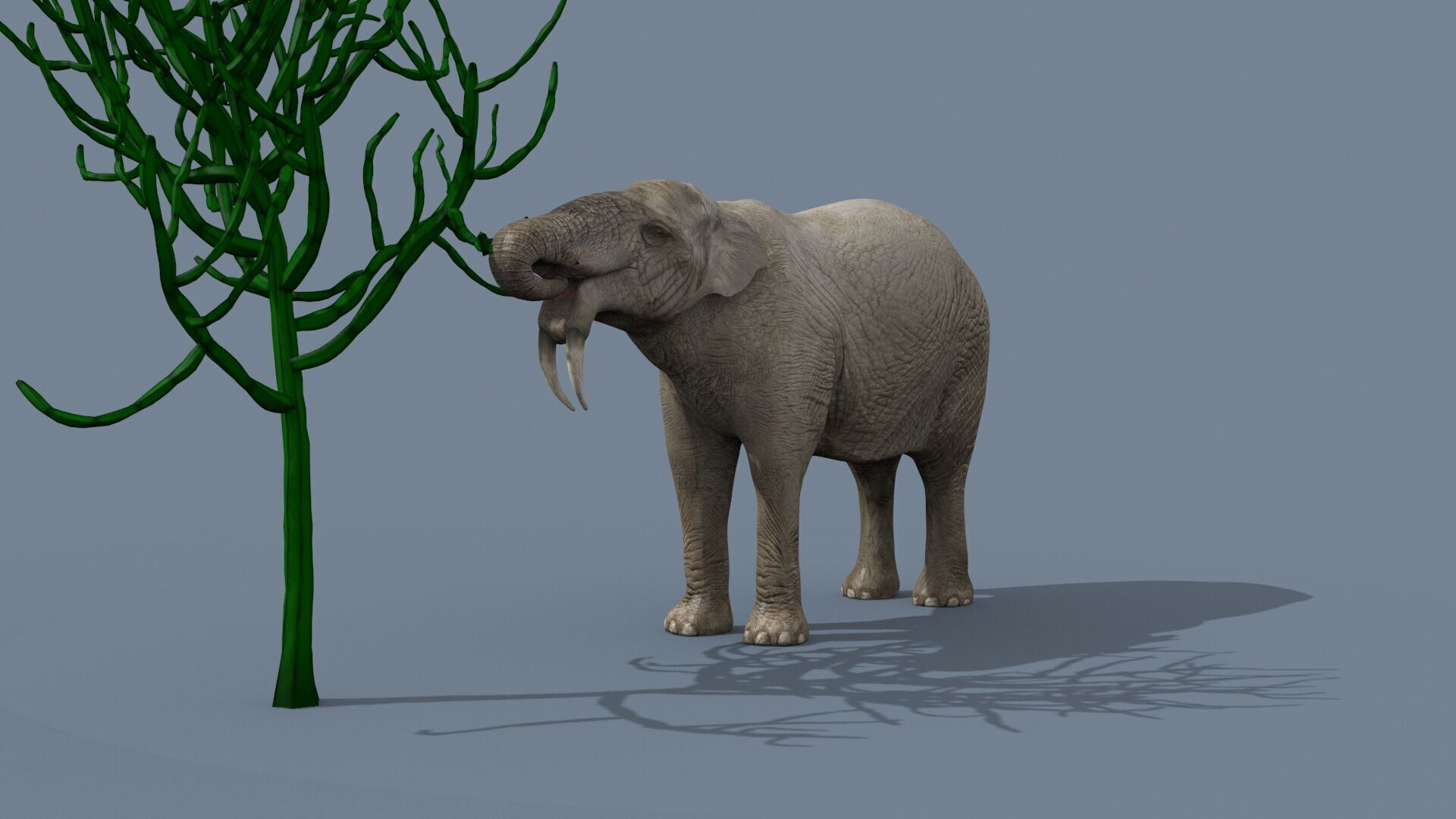 Deinotherium Thraceiensis HD - 3d animated 3D model_14