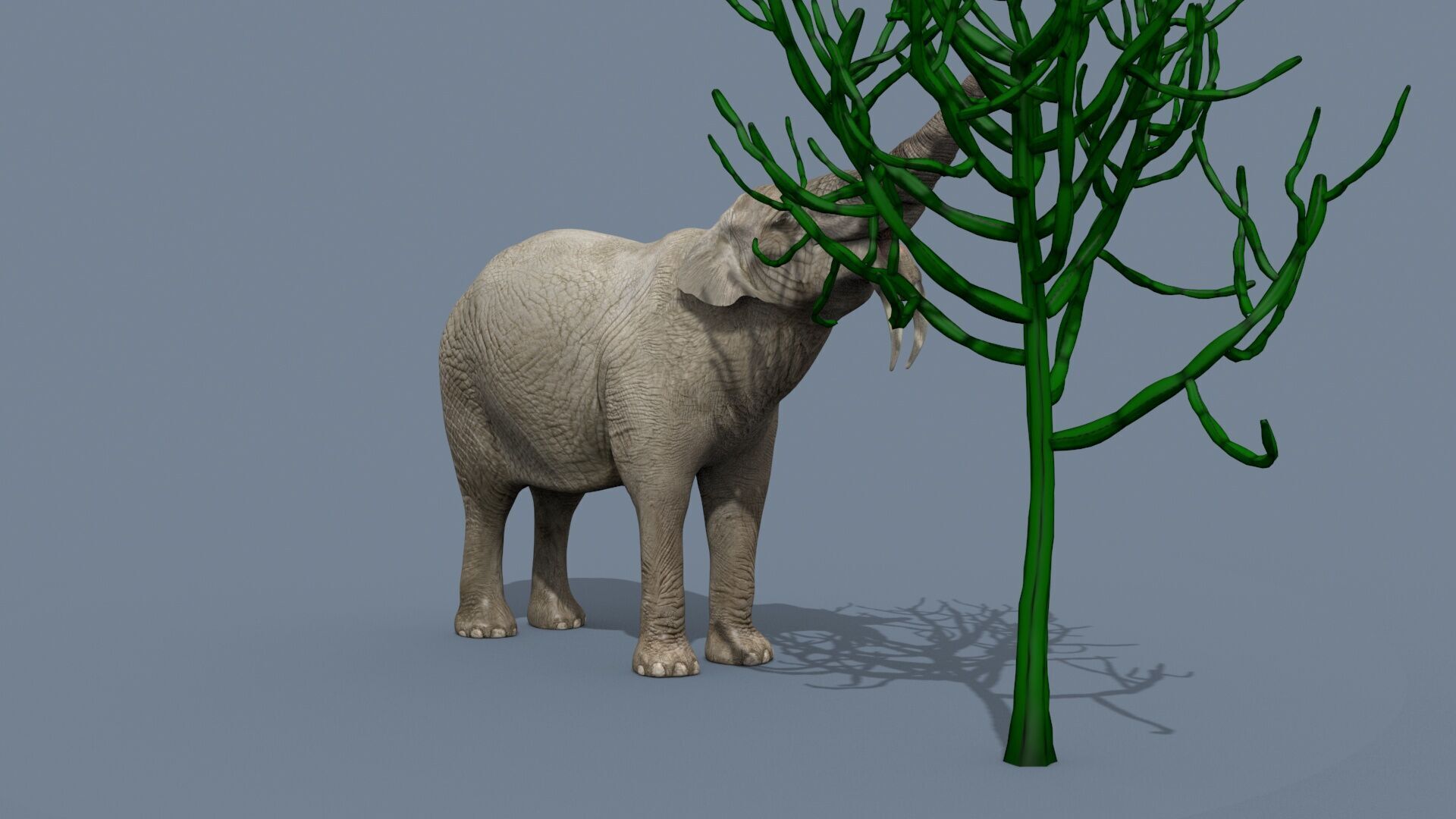 Deinotherium Thraceiensis HD - 3d animated 3D model_10