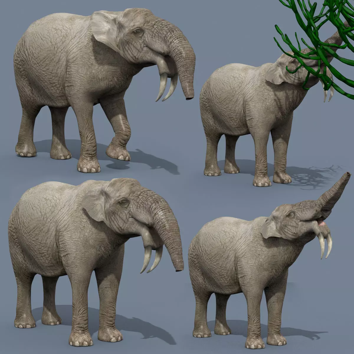Deinotherium Thraceiensis HD - 3d animated 3D model_0