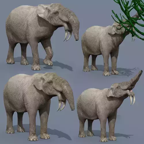Deinotherium Thraceiensis HD - 3d animated 3D model