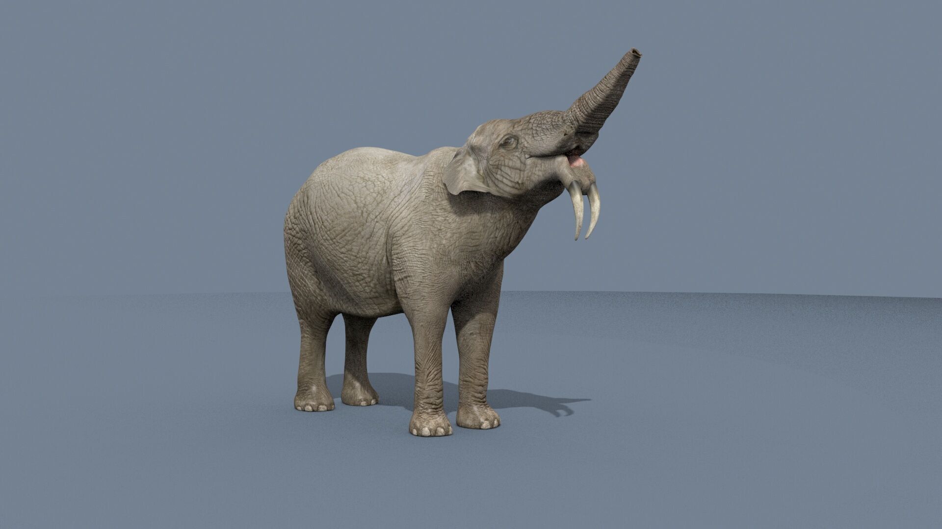 Deinotherium Thraceiensis HD - 3d animated 3D model_18