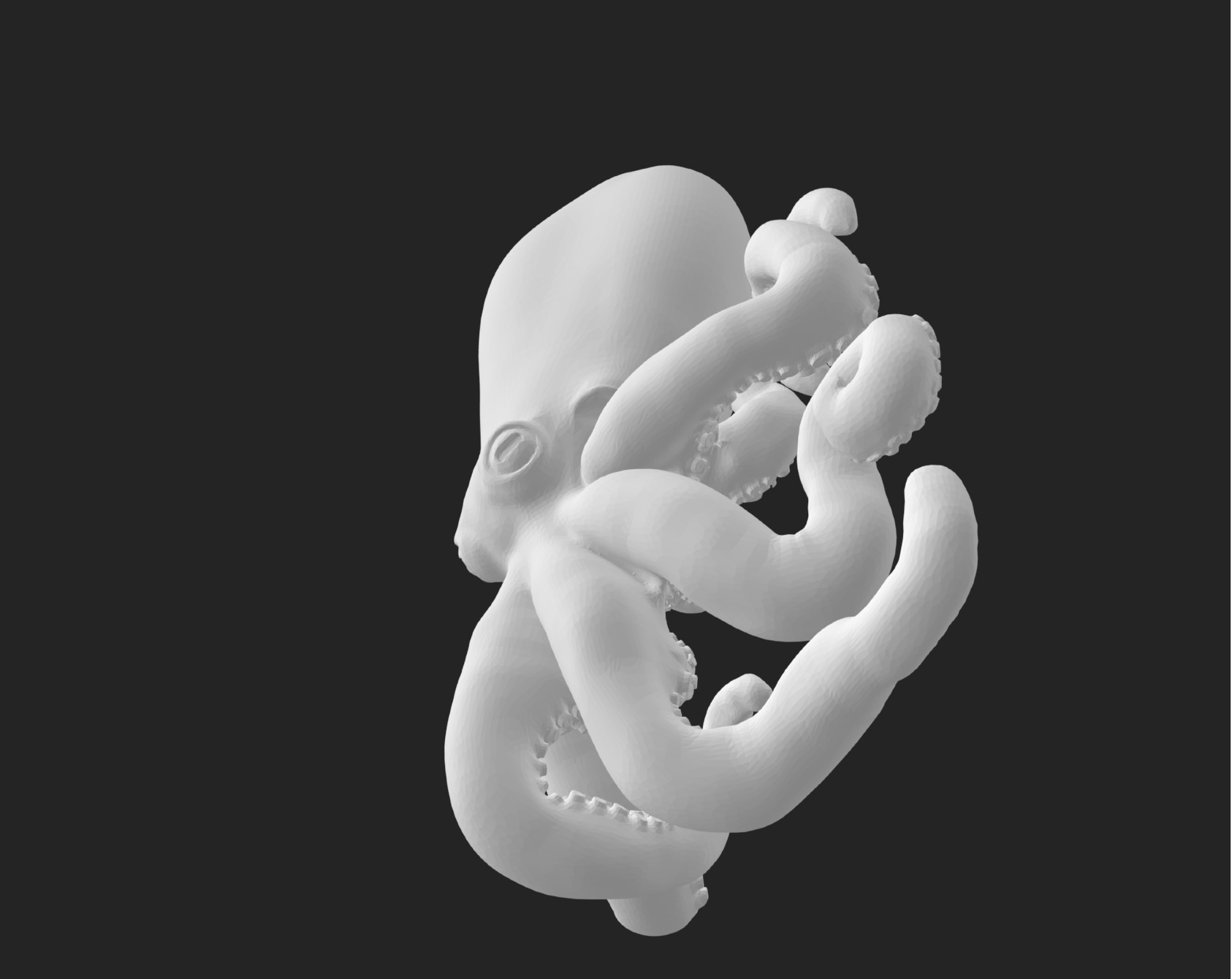 Big Octopus 3D print model_3