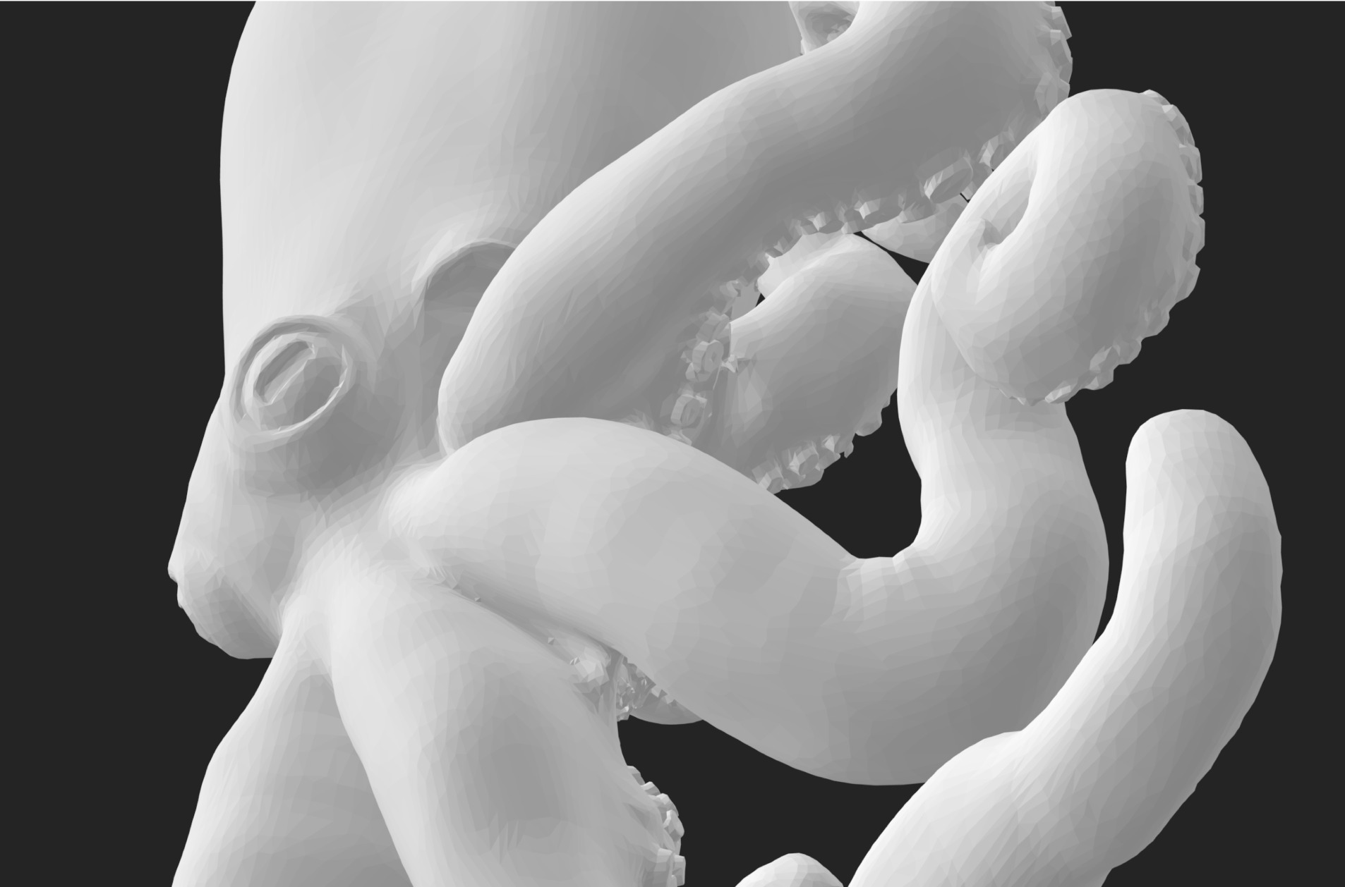 Big Octopus 3D print model_4