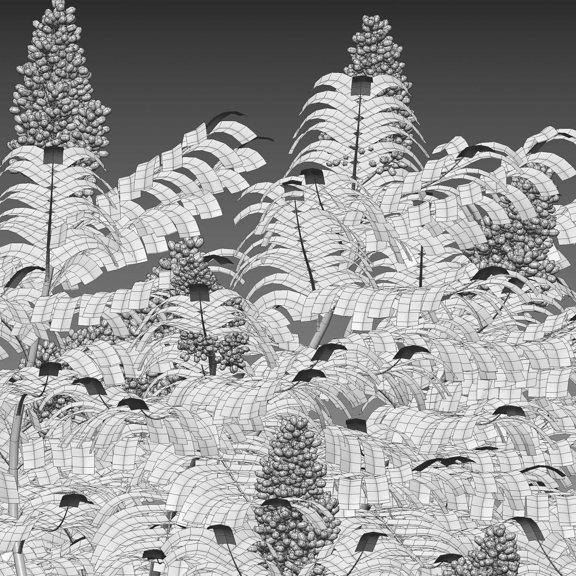 Rhus typhina - Staghorn Sumac 06 3D model_4