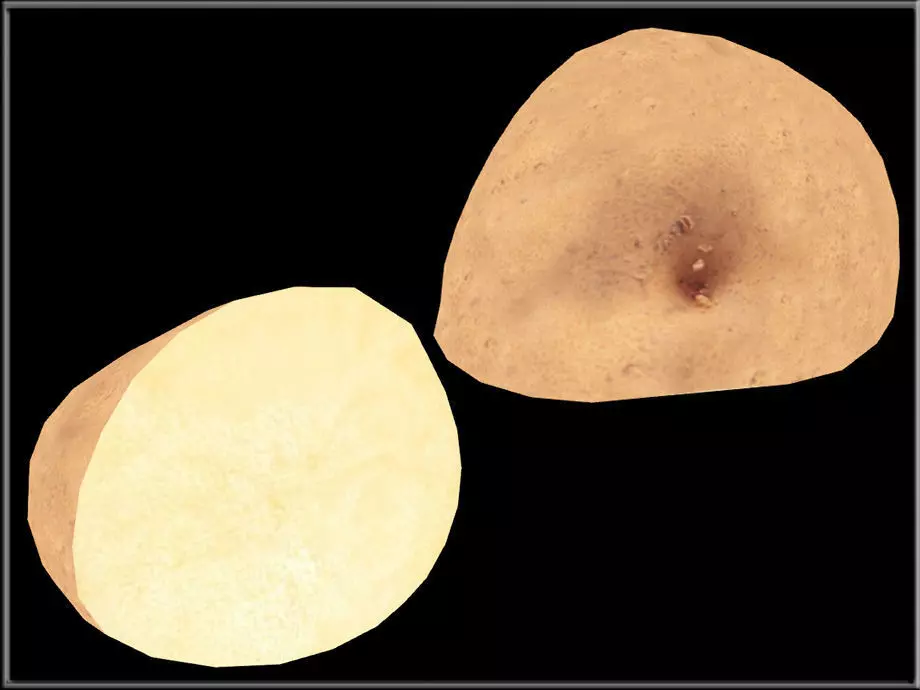 Half of POTATO Low-poly 3D model