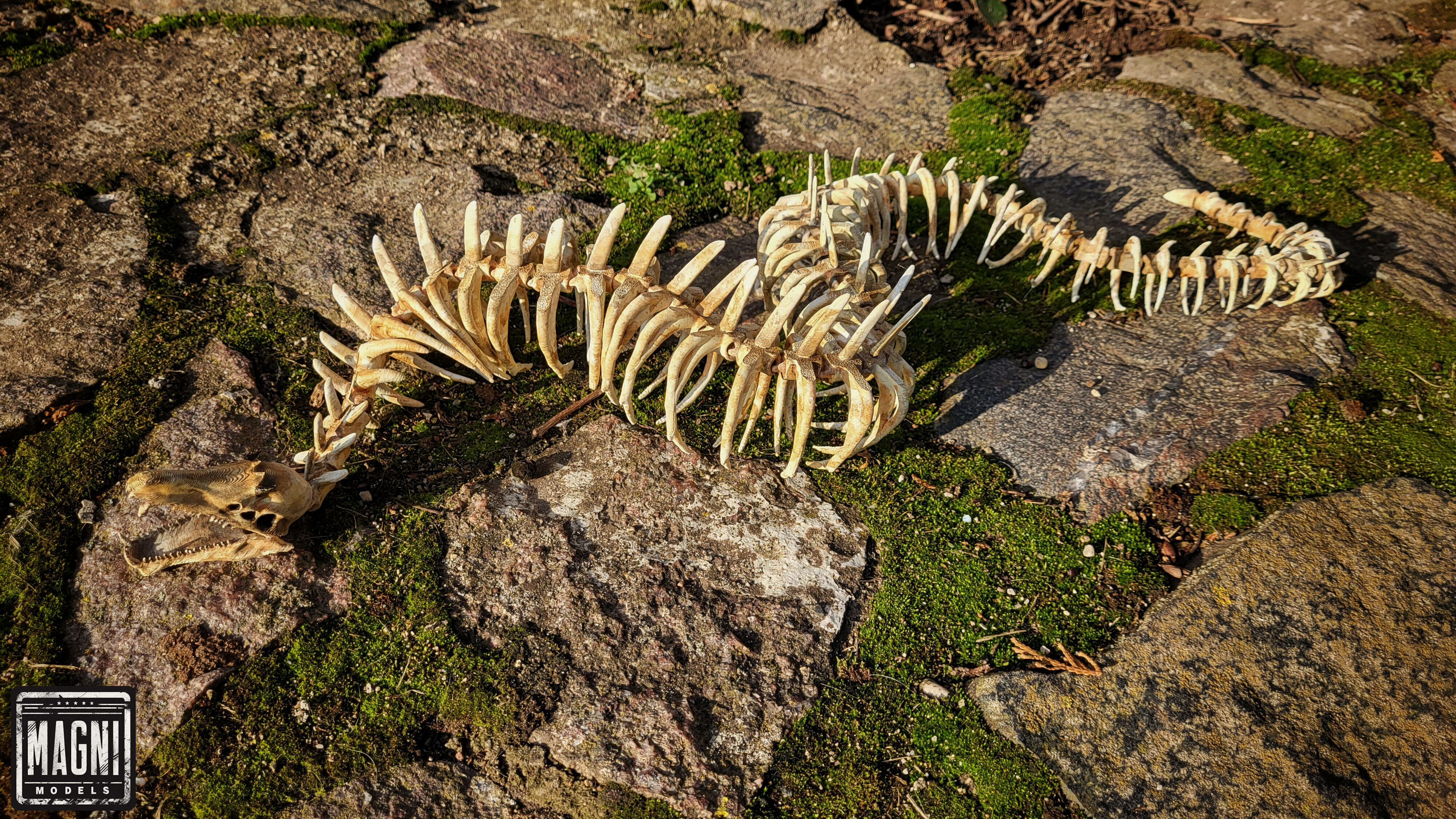 Articulated Gargantuan Leviathan Skeleton - Subnautica 3D print model_6