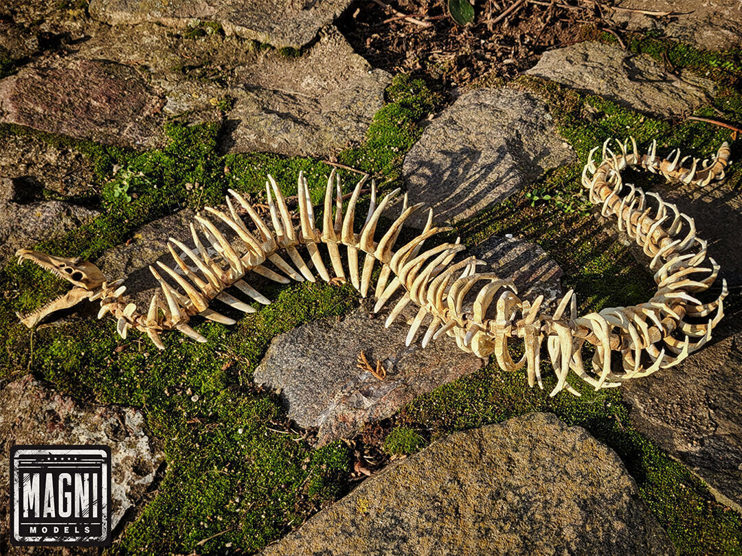 Articulated Gargantuan Leviathan Skeleton - Subnautica 3D print model_4