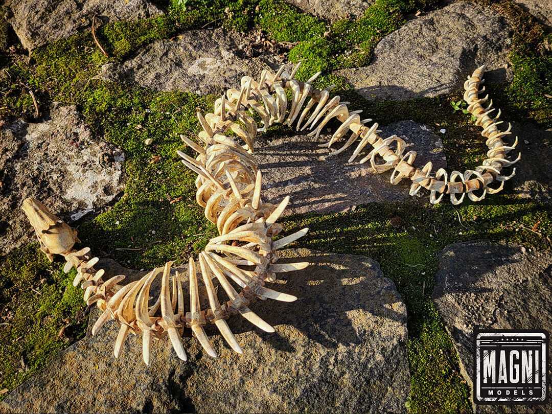 Articulated Gargantuan Leviathan Skeleton - Subnautica 3D print model_7