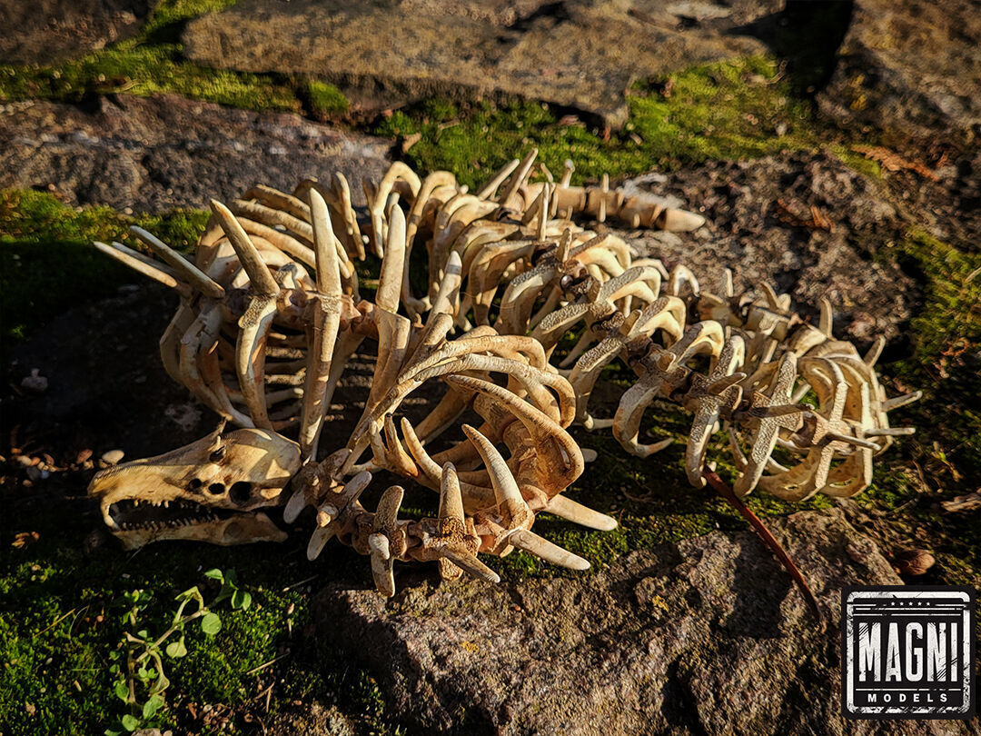 Articulated Gargantuan Leviathan Skeleton - Subnautica 3D print model_1