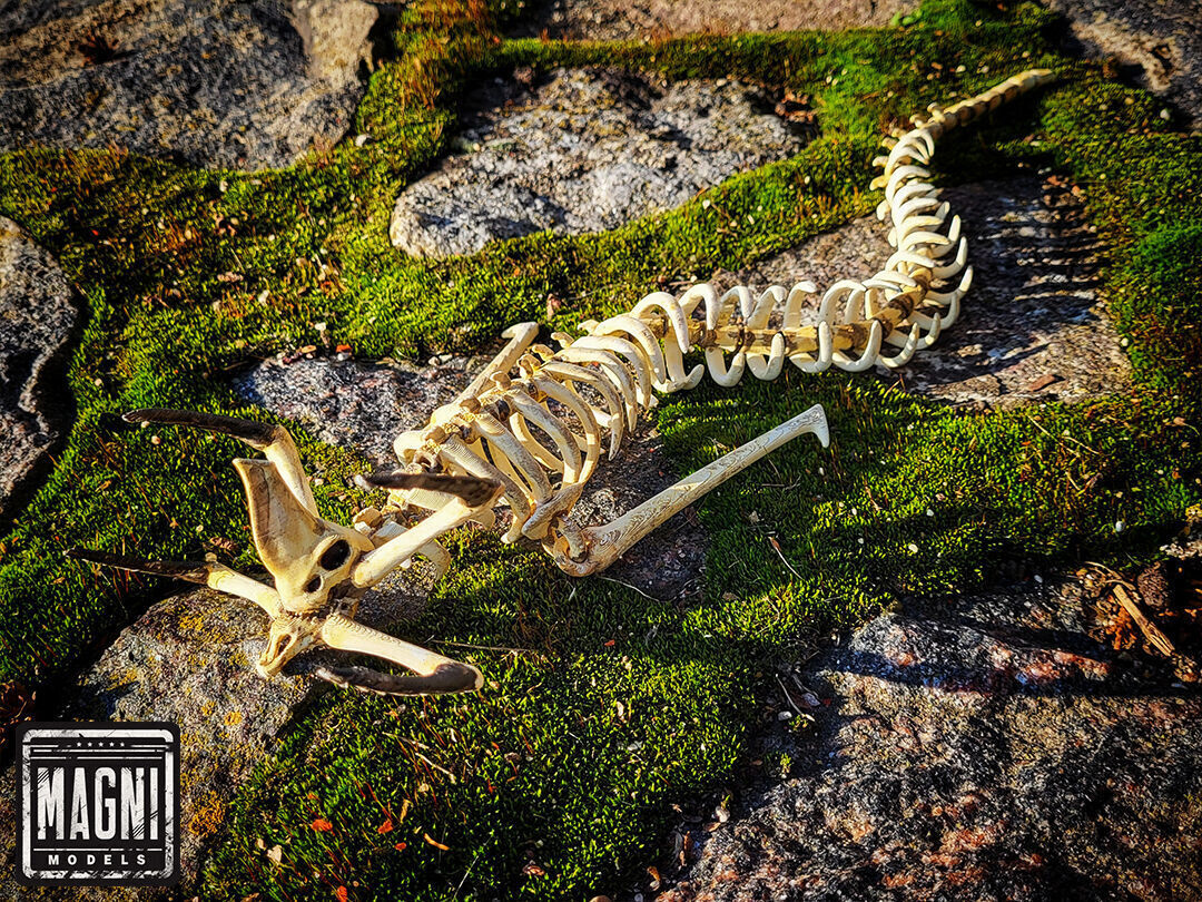 Articulated Reaper Leviathan Skeleton - Subnautica 3D print model_3