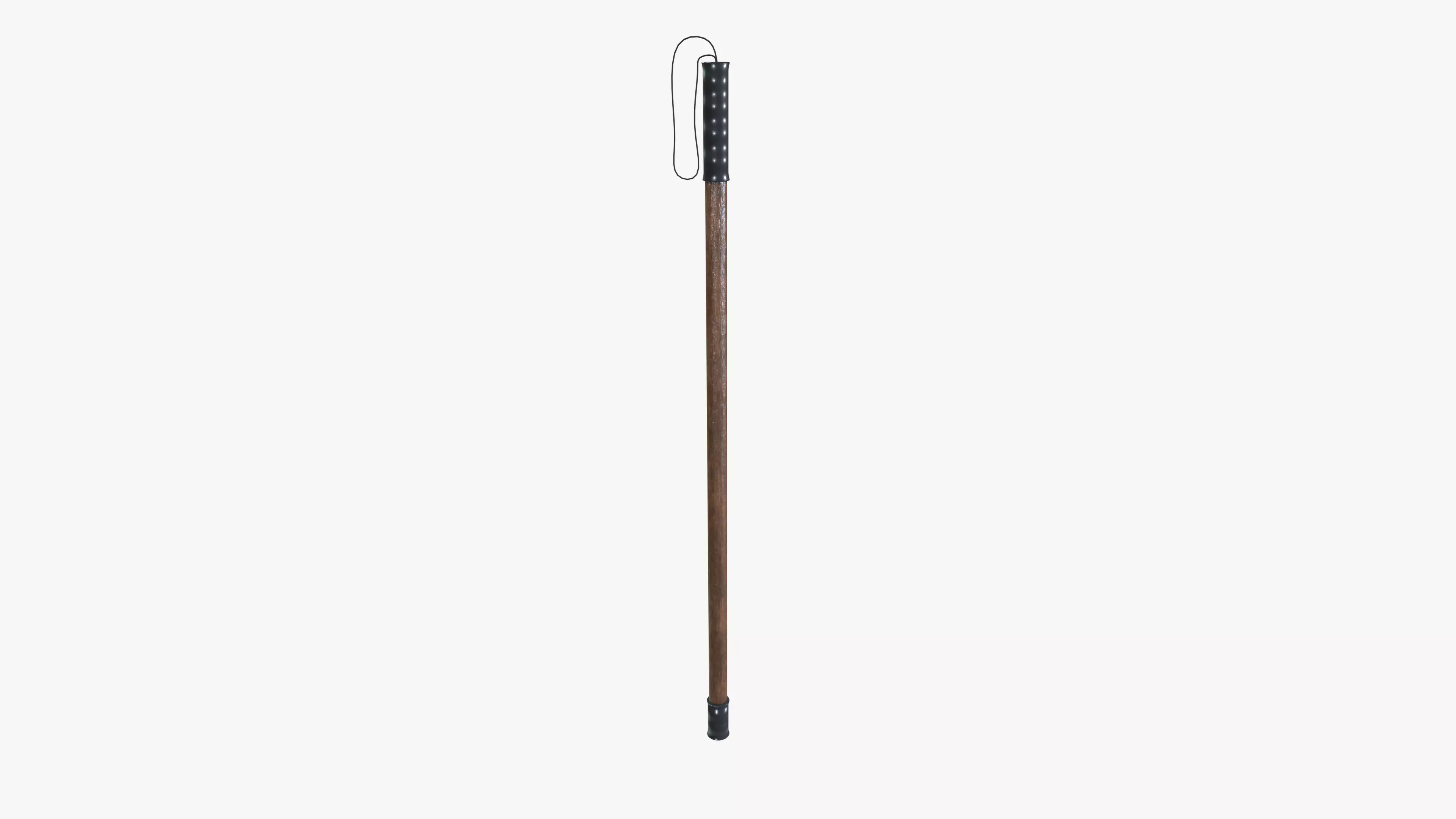 Security Stick 3D model_0