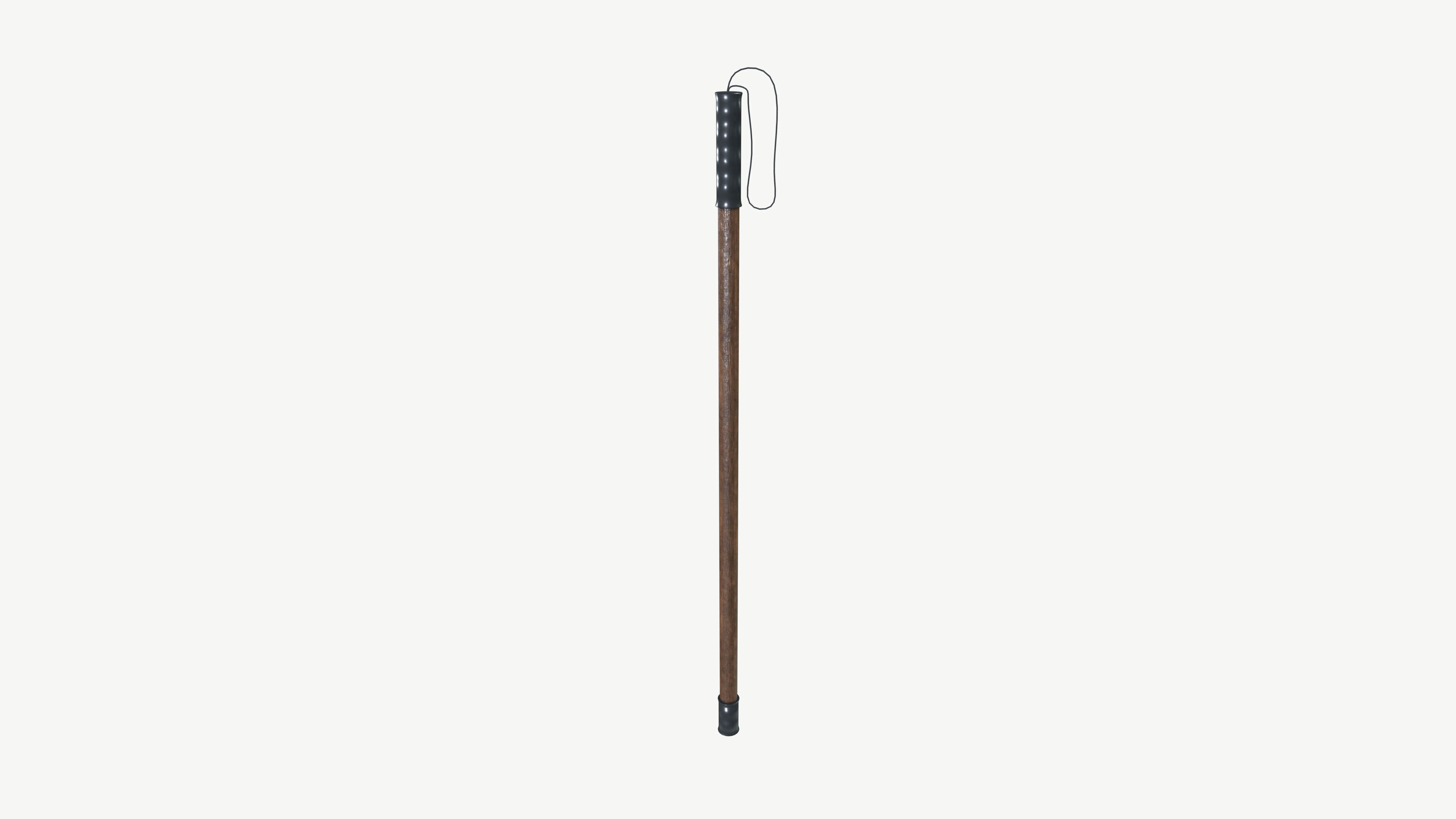 Security Stick 3D model_3