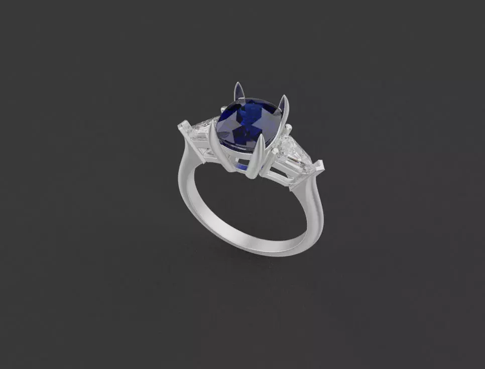 Ring 67125 3D print model_0