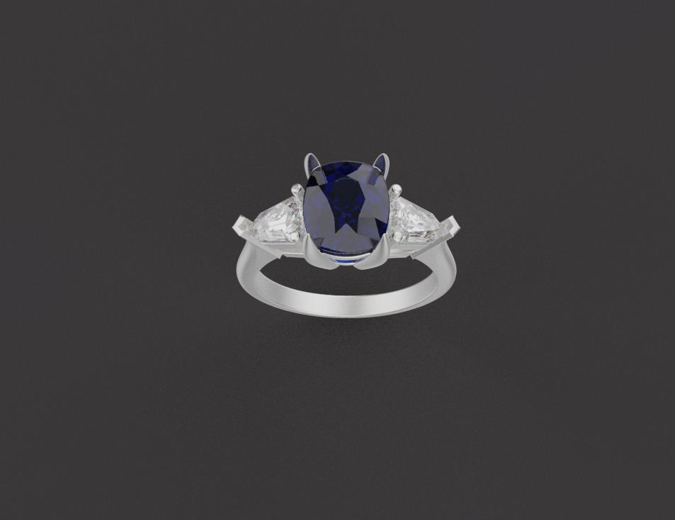 Ring 67125 3D print model_1