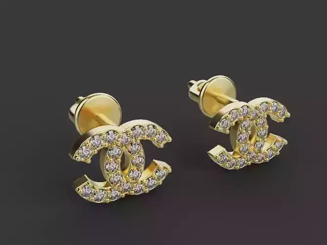 Earrings 54291