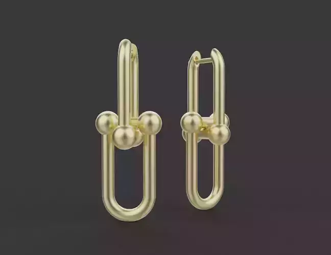 Earrings 54048