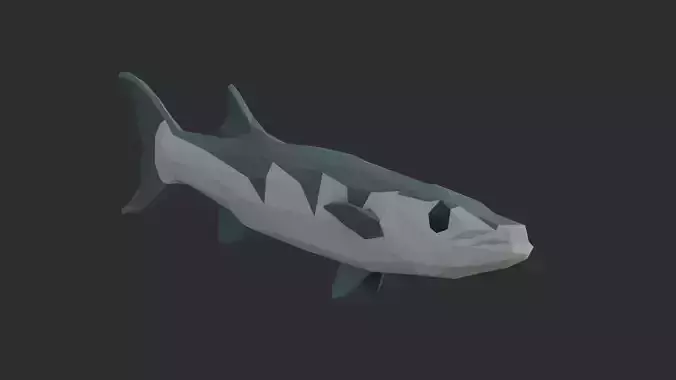 Low Poly Pacific Barracuda