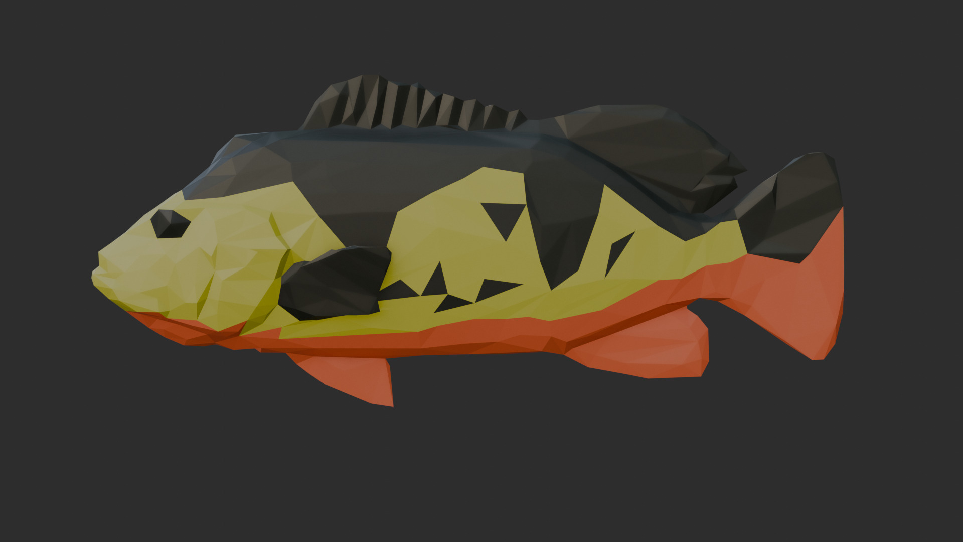 Low Poly Peacock Bass Low-poly 3D model_2