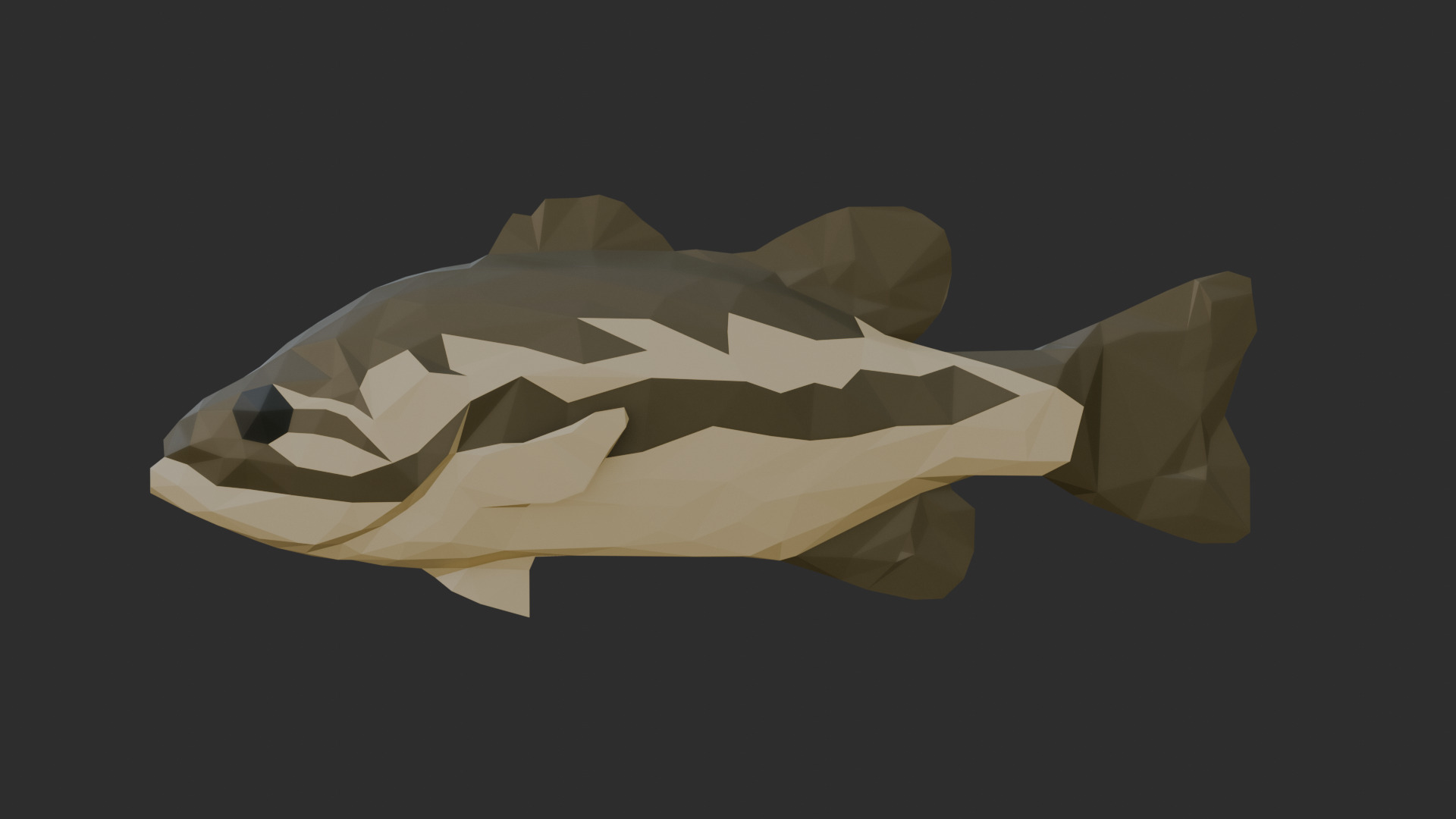 Low Poly Spotted Bass Low-poly 3D model_2