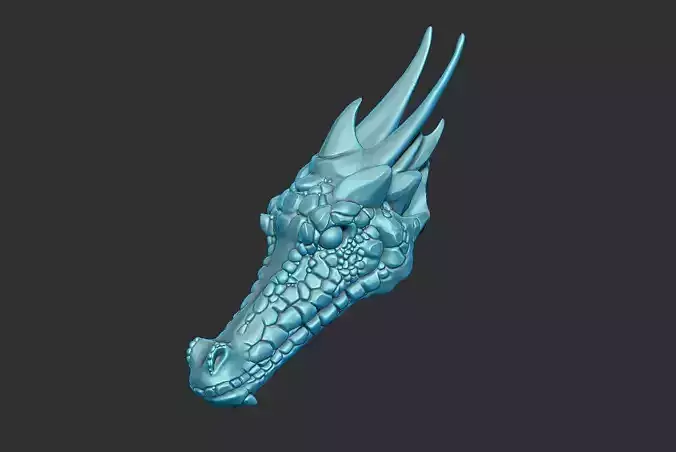 Dragon head