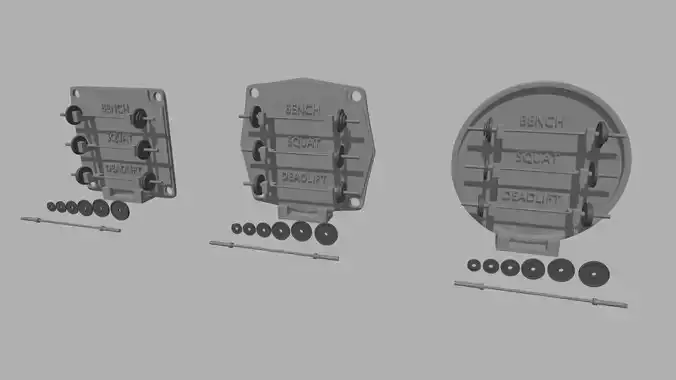 Gym Weights Personal Record 3D print model