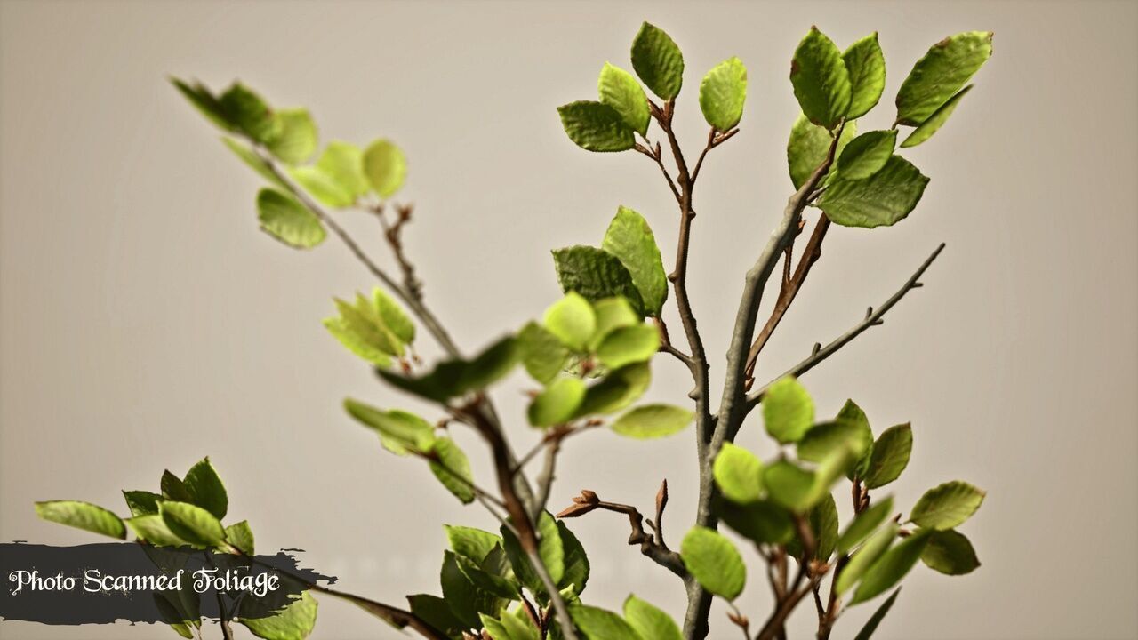 Modular Medieval Village Low-poly 3D model_3