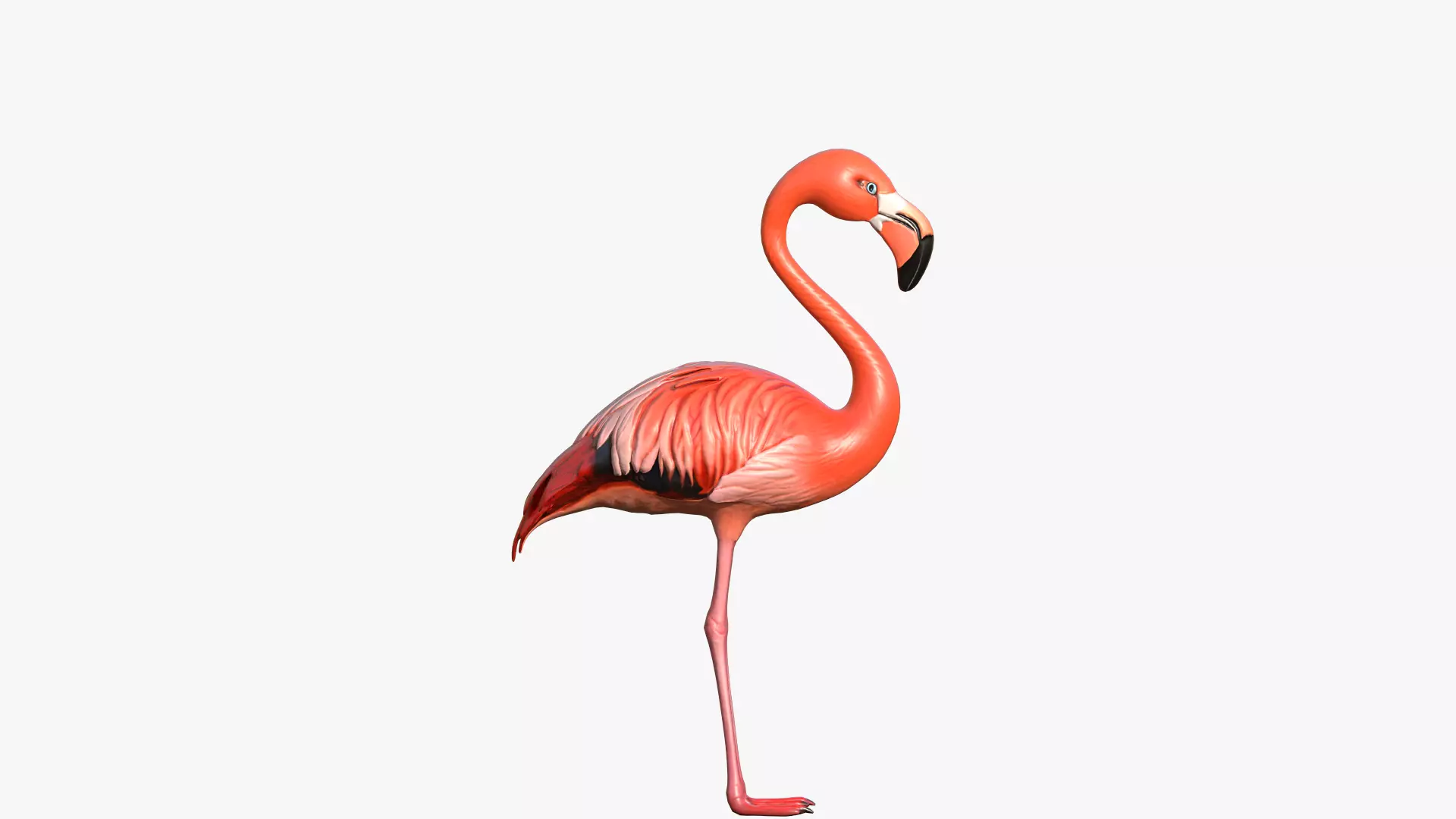 Flamingo Low-poly 3D model