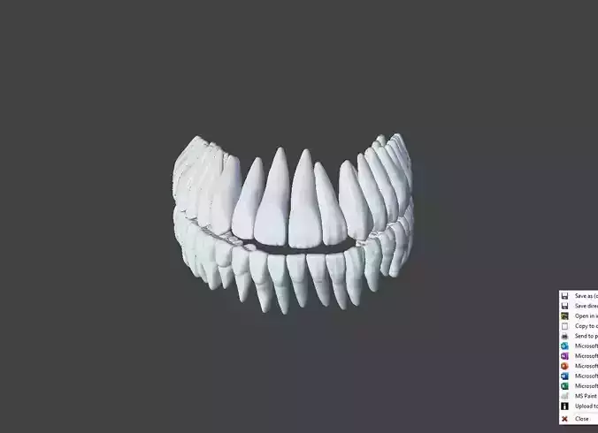 Real Anatomy Tooth Seth 3