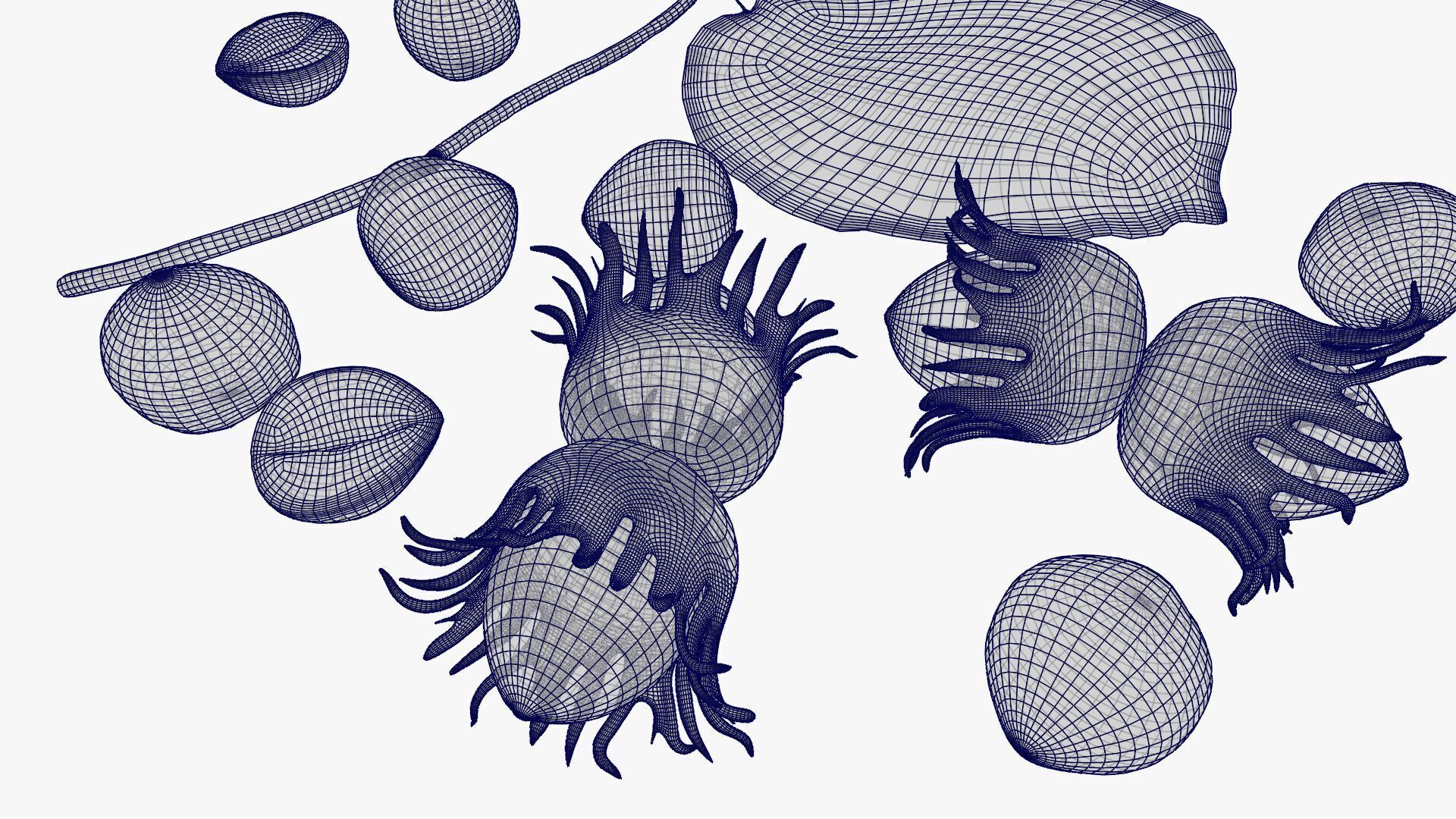 Hazelnuts 3D model_25