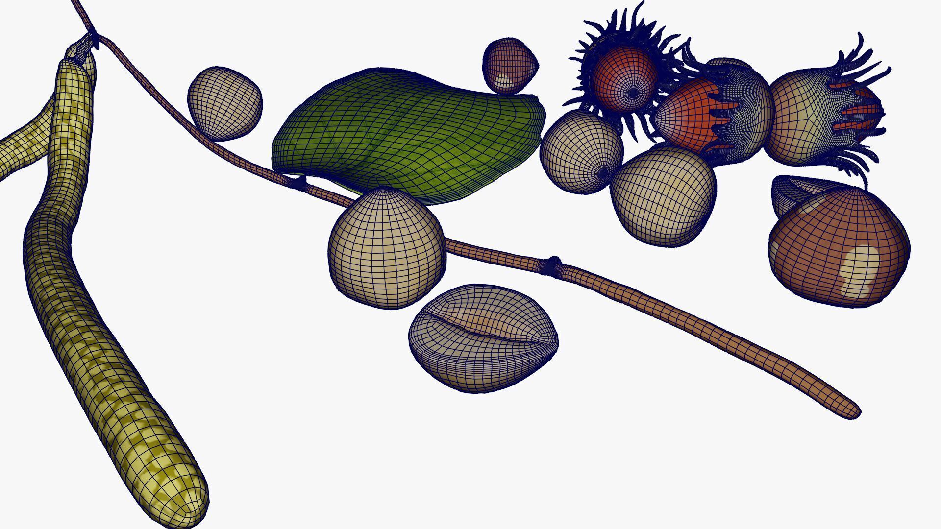 Hazelnuts 3D model_18