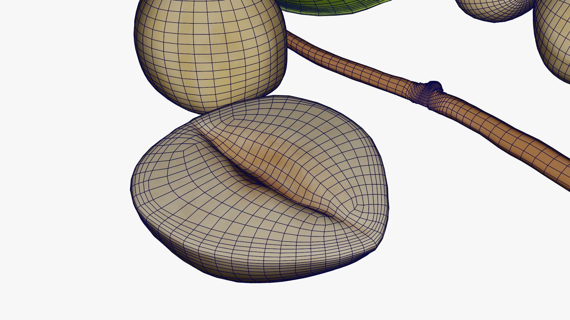 Hazelnuts 3D model_21