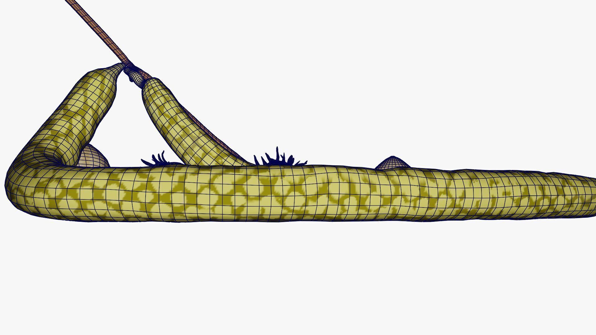 Hazelnuts 3D model_23