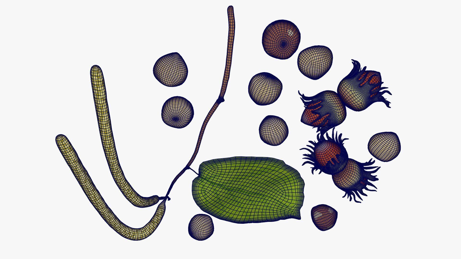 Hazelnuts 3D model_22
